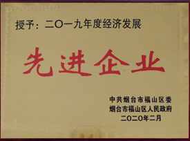 公司荣誉