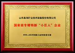 公司荣誉