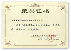 公司荣誉